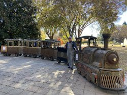 Western Trackless Train