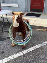 B09C469D 8523 4203 8FDE 72634BC89E0D 1708388121 Hula Hoop Toss