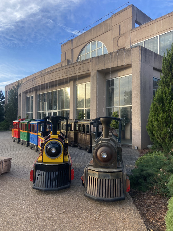 Trackless Train